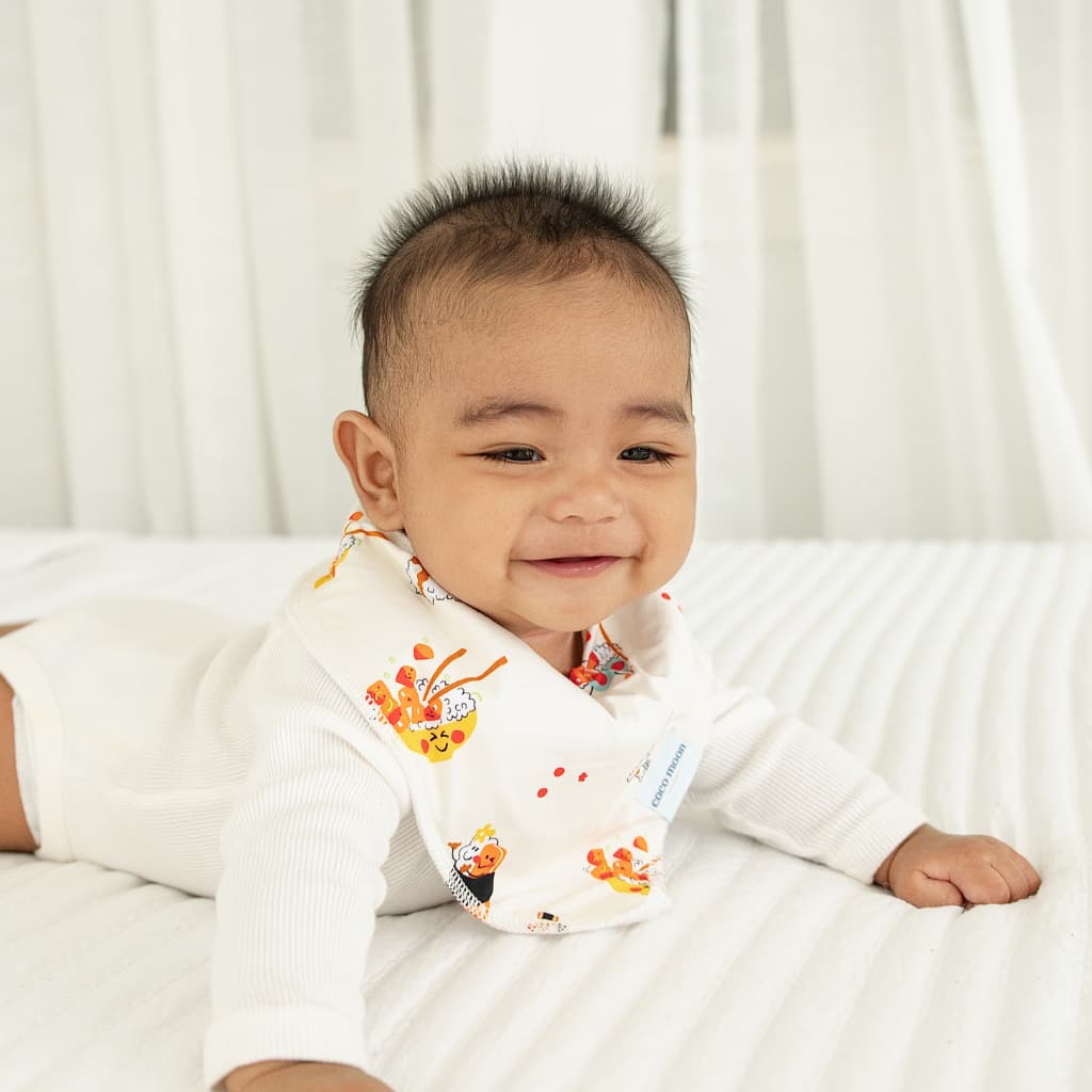 Island Mixed Plate Bib