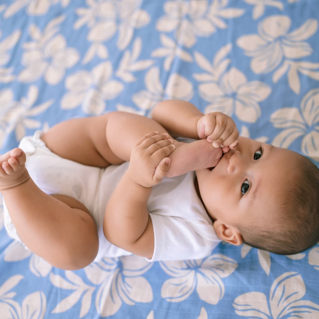 Plumeria Dreams Muslin Swaddle Blanket