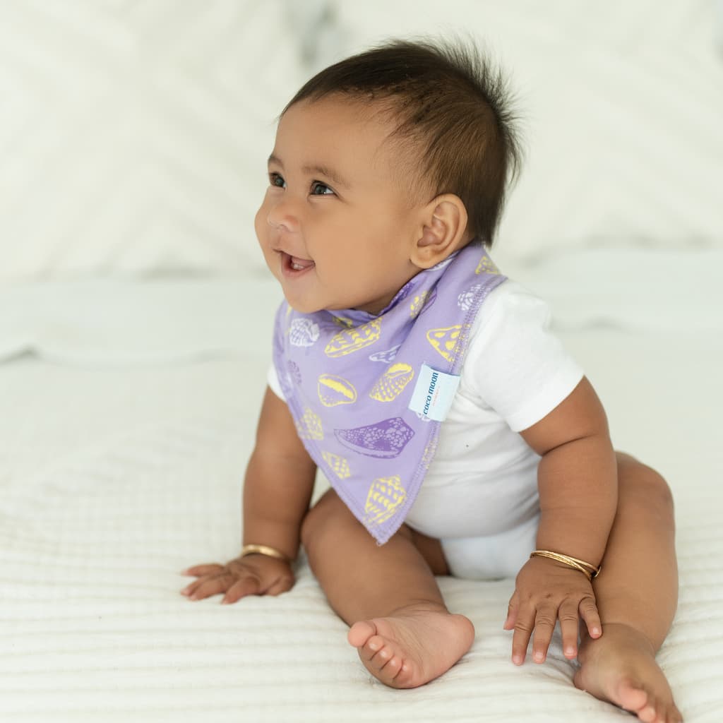 Shell Pop Bib