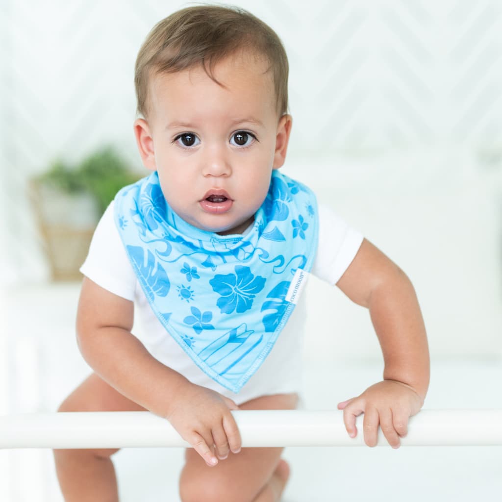 Summertime Swell Bib