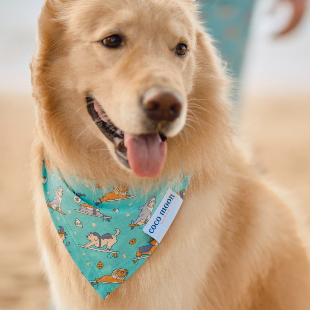 HOWL-oween Bamboo Pet Bandana