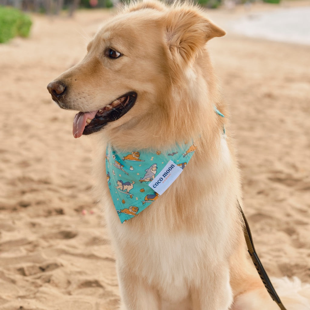 HOWL-oween Bamboo Pet Bandana