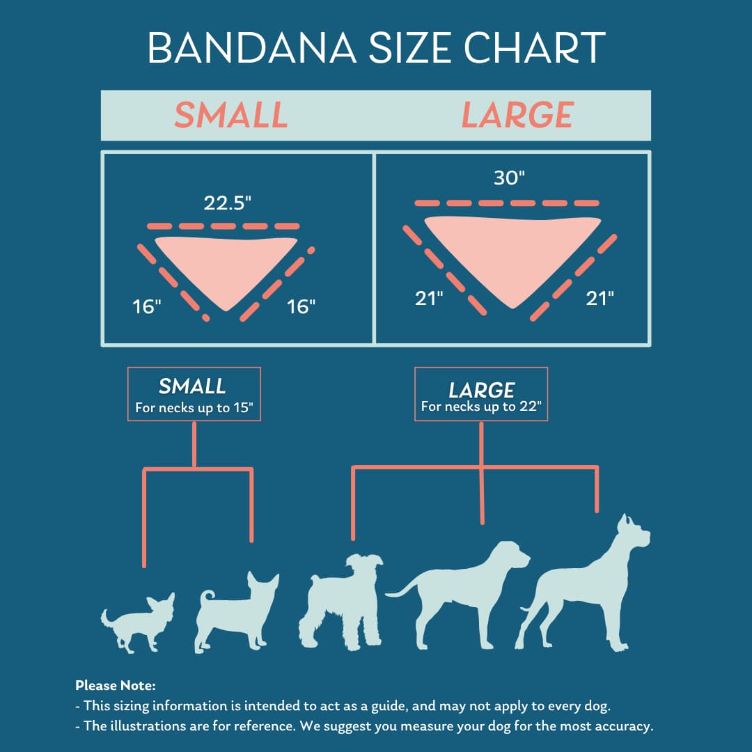 Beachside Boo Bash Bamboo Pet Bandana