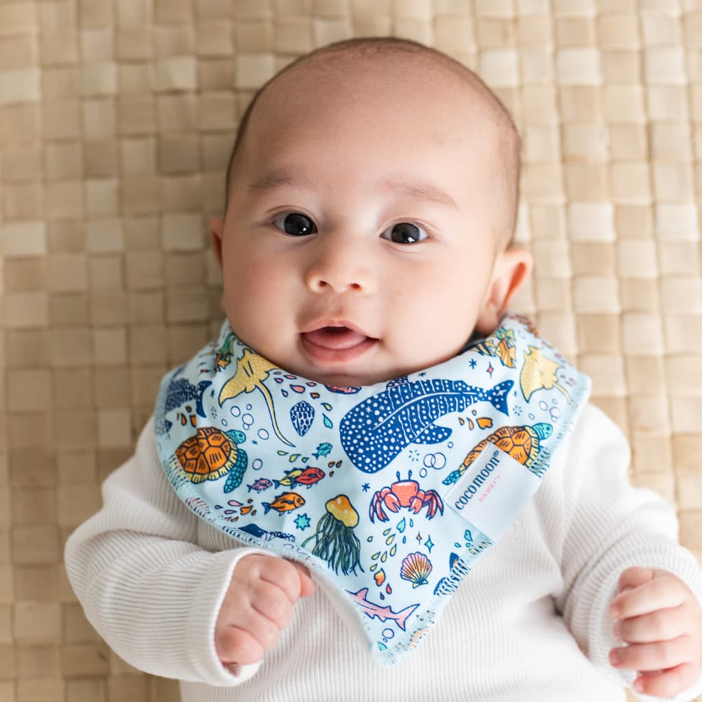 Big Blue World Bib