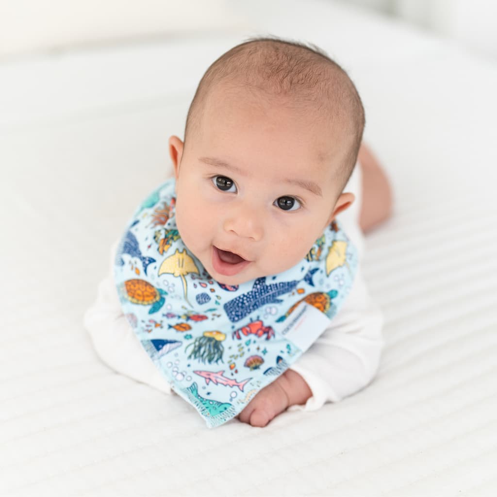 Big Blue World Bib
