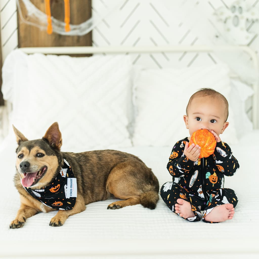 Beachside Boo Bash Bamboo Pet Bandana