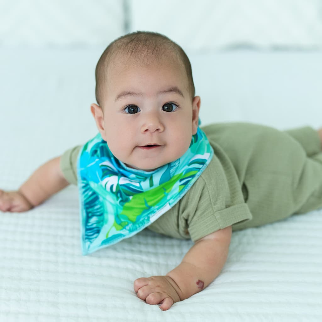 Backyard Oasis Bib