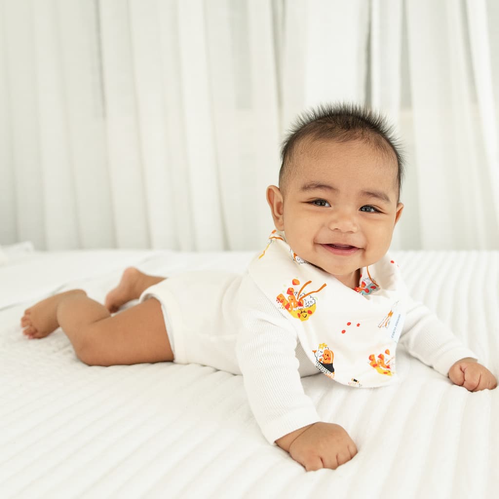 Island Mixed Plate Bib