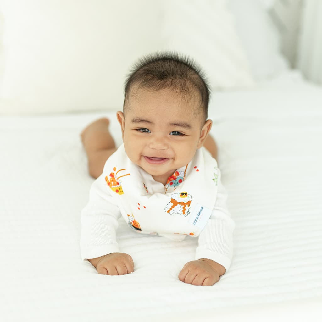 Island Mixed Plate Bib