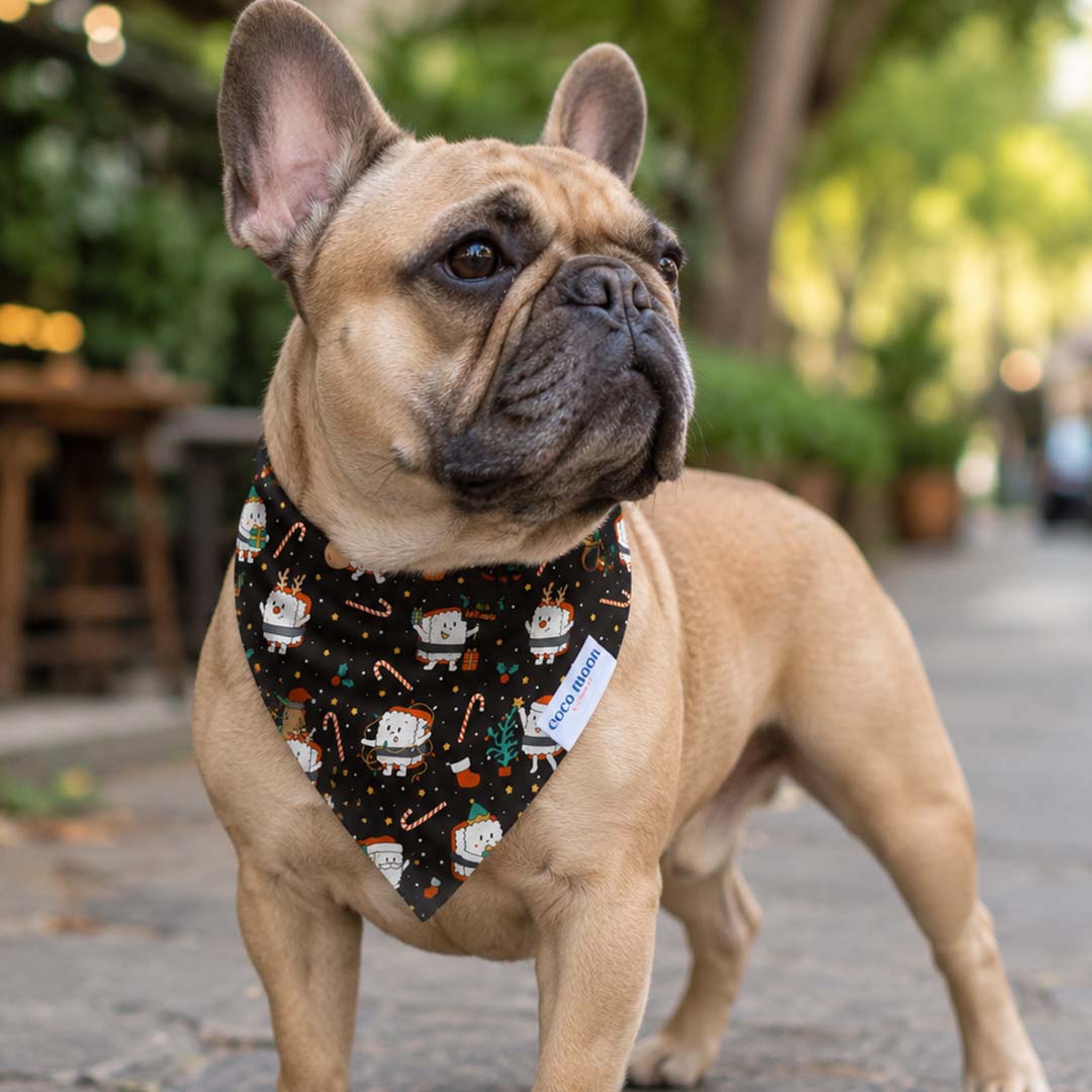 Merry Musubi Bamboo Pet Bandana
