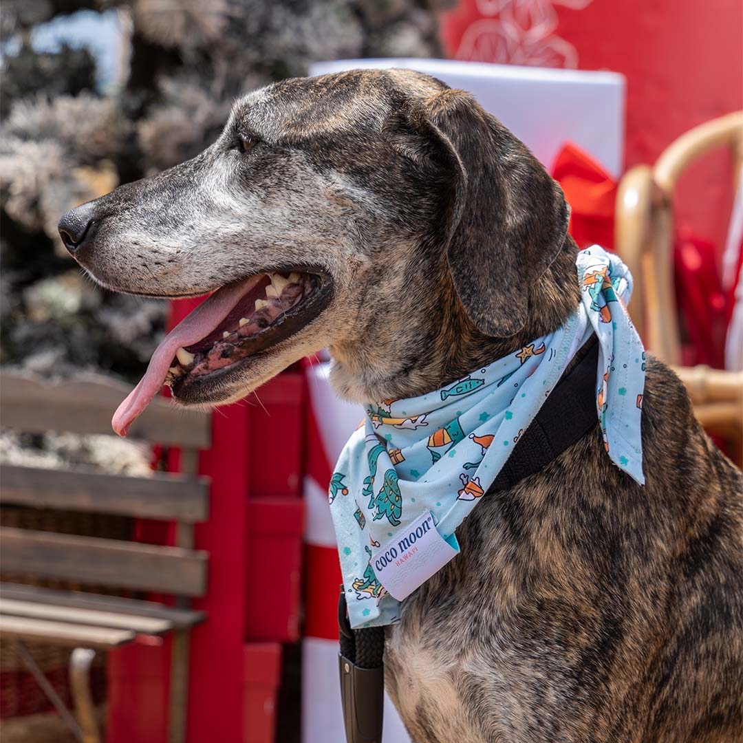 Mistle-Toes On The Nose Bamboo Pet Bandana
