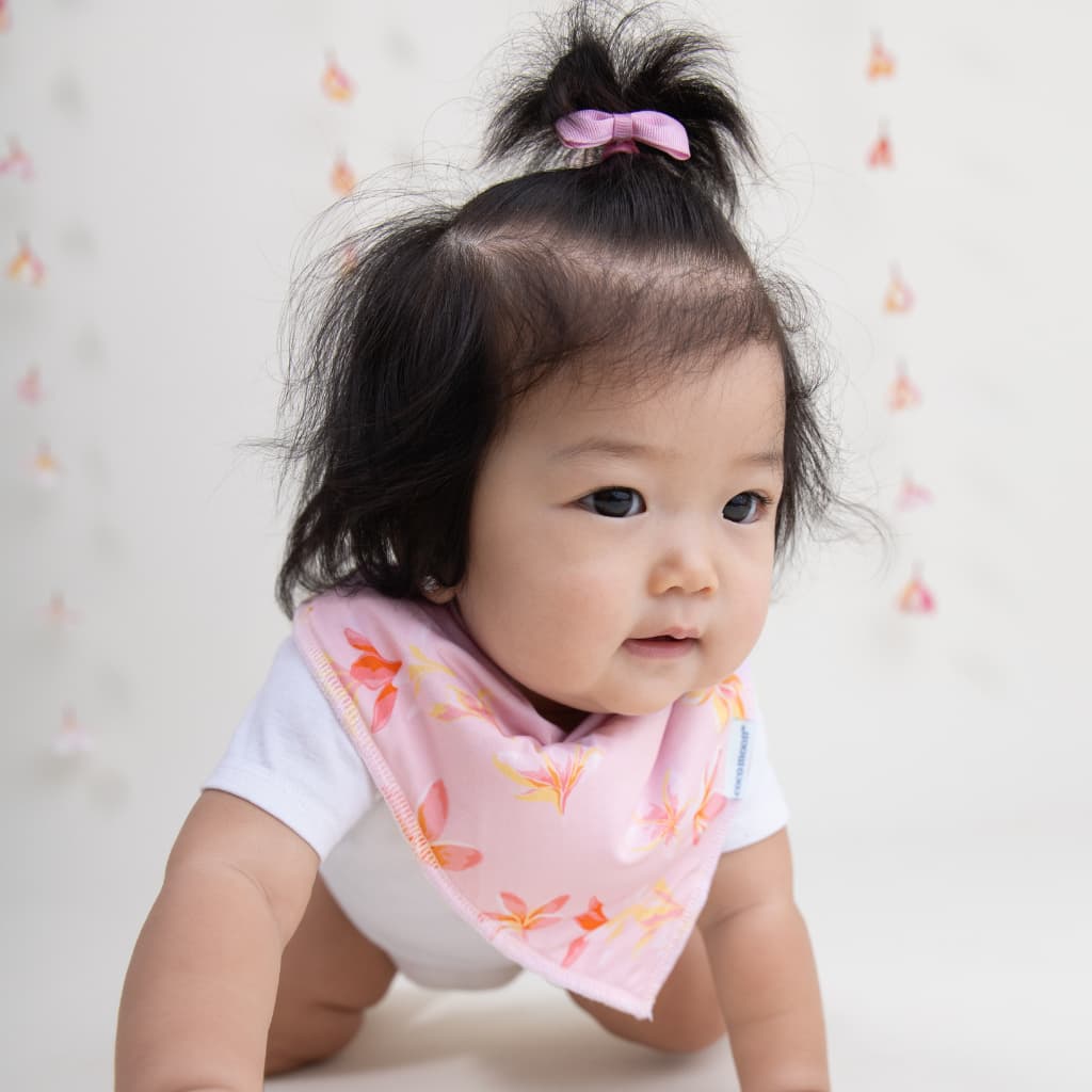 Plumeria Honey Bib