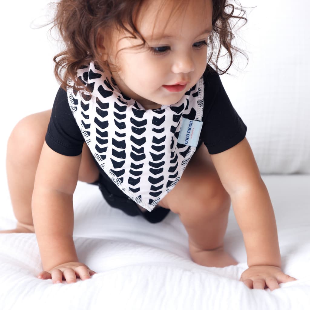 Shell-ish Bib