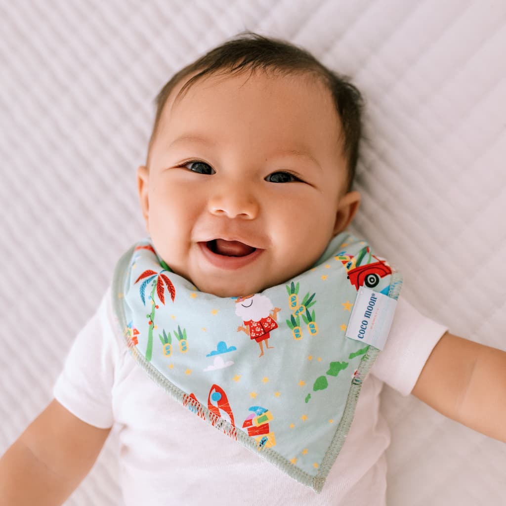Surfing In An Island Wonderland Bib