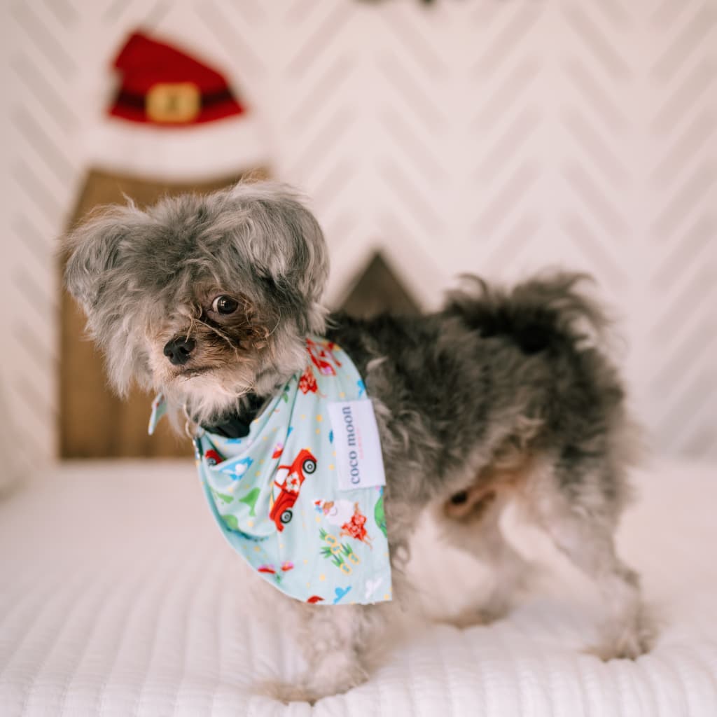 Surfing In An Island Wonderland Bamboo Pet Bandana