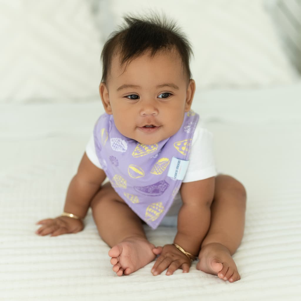 Shell Pop Bib