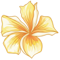 Plumeria