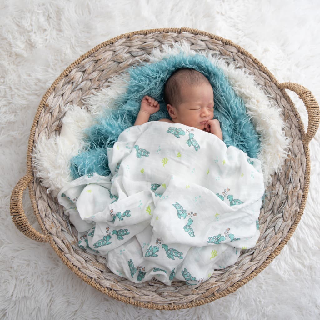 The Best Selling Swaddle Bundle