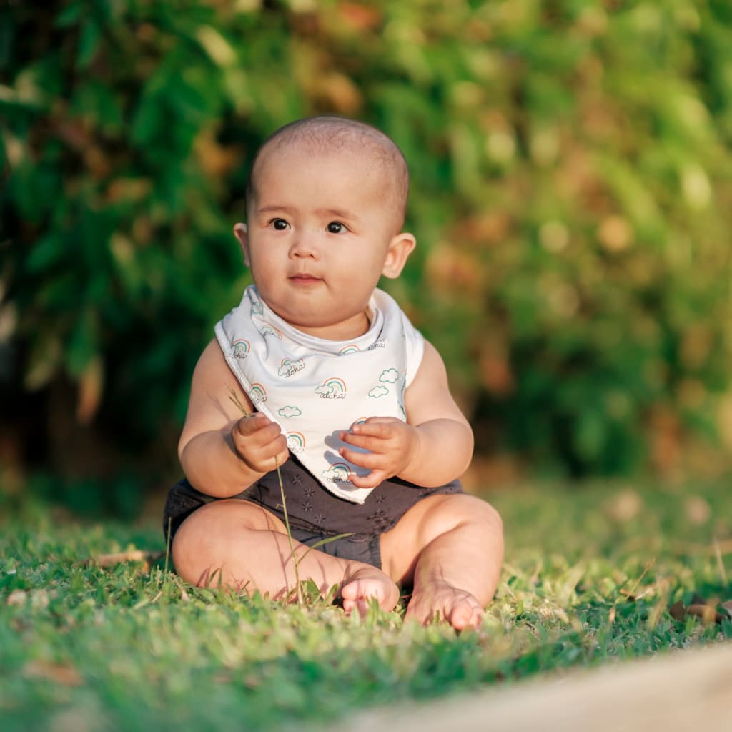 Pot O' Aloha Bib