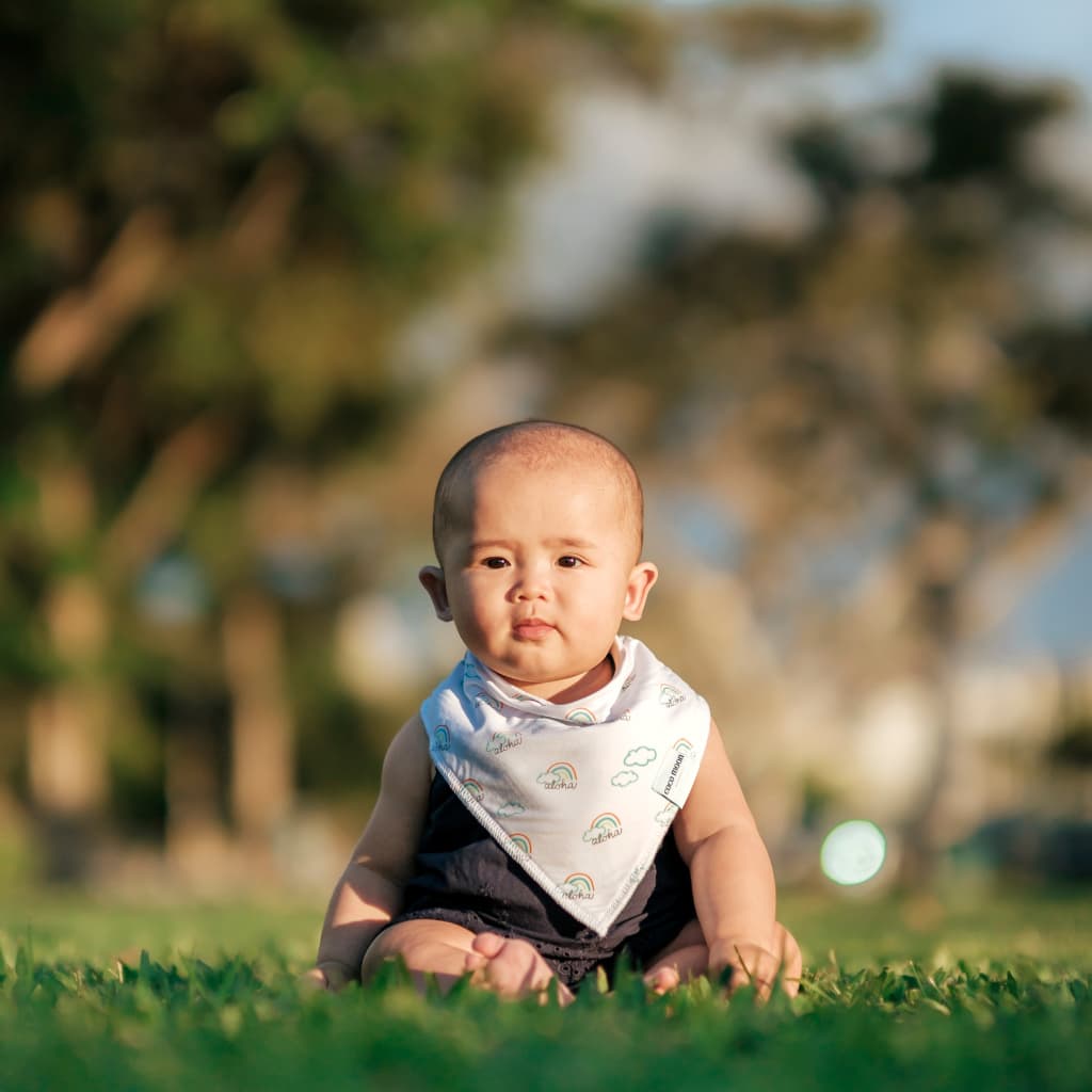 Pot O' Aloha Bib